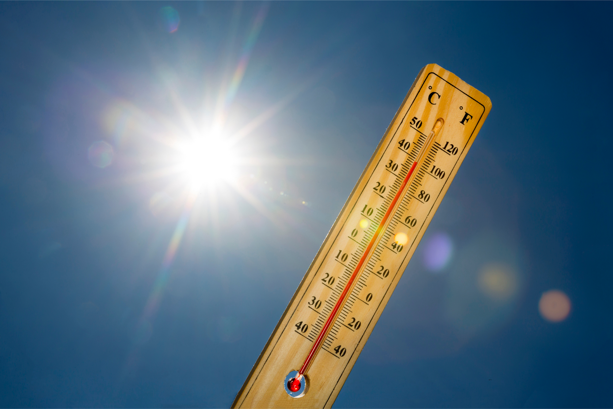 Lynchburg Opens Cooling Centers as Temperatures Climb into Upper 90s