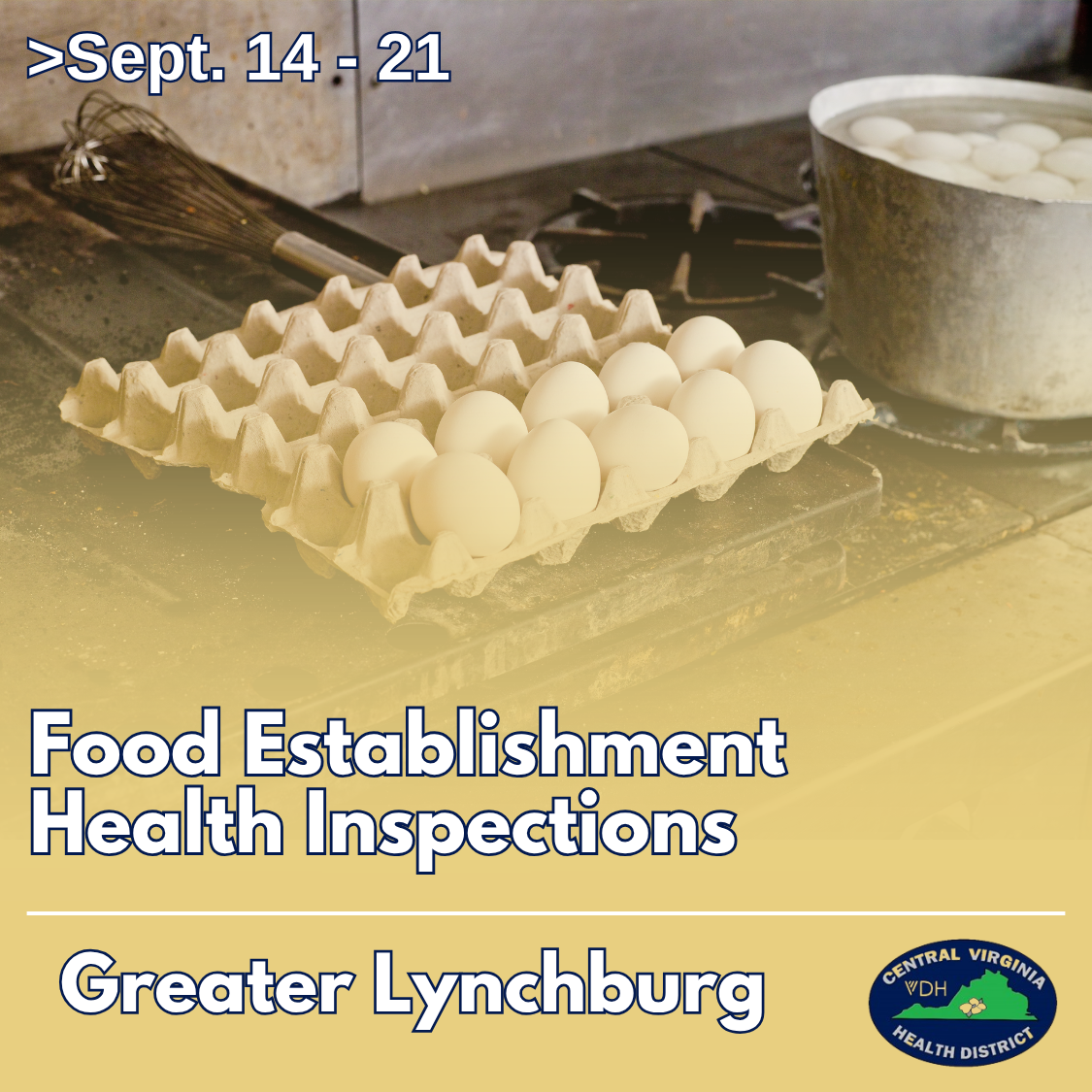 Greater Lynchburg Food Inspections: Val's Comfort Kitchen Records 8 Violations