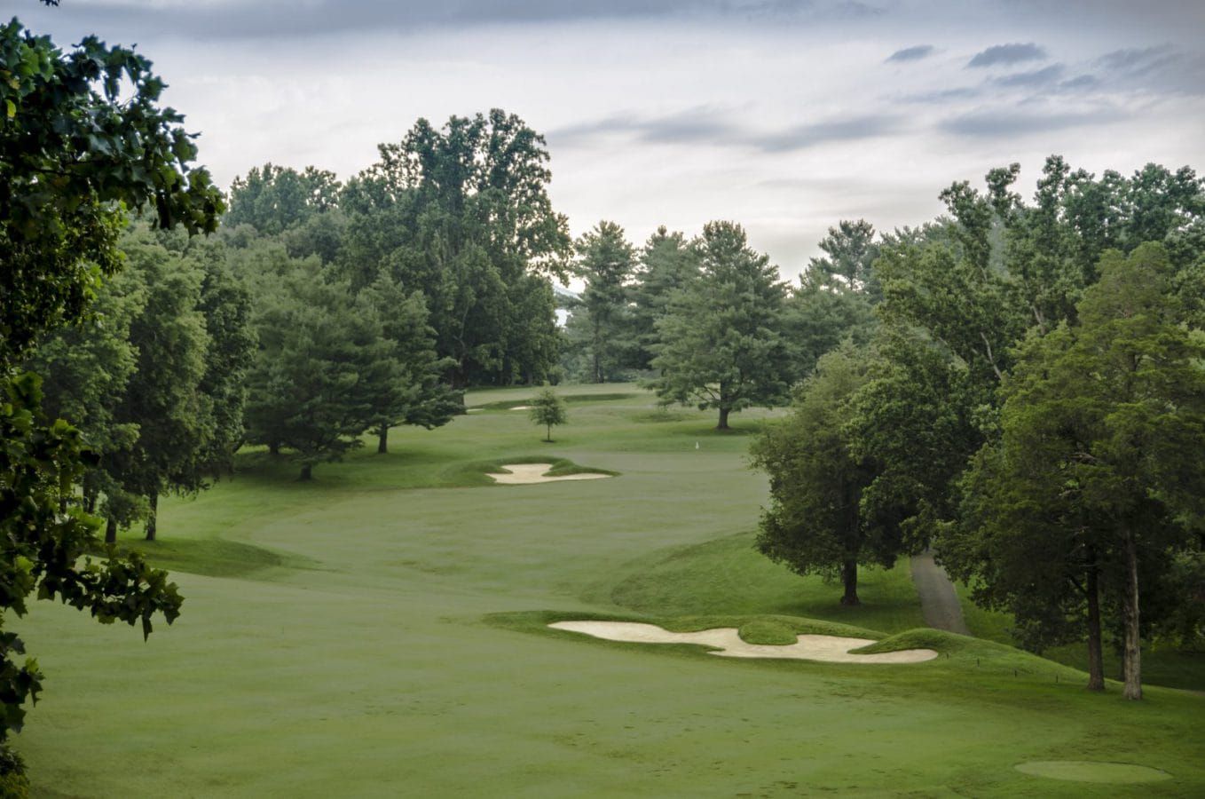Fox Puss Invitational: Faulkner Leads Open Division After Round One
