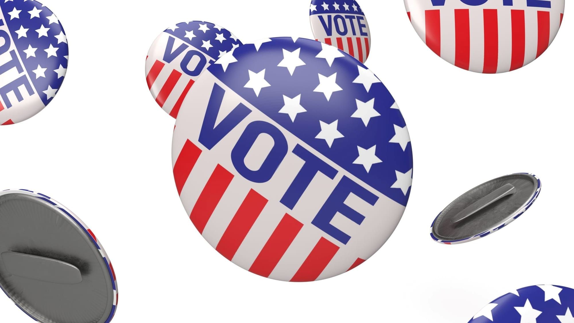Lynchburg Registrar, Veterans Council Launch Voter Participation Campaign