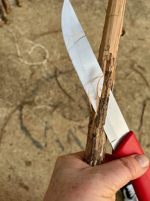 Uma mão segura uma faca sob um pedaço de casca que está sendo retirado de uma vara de madeira de biriba.