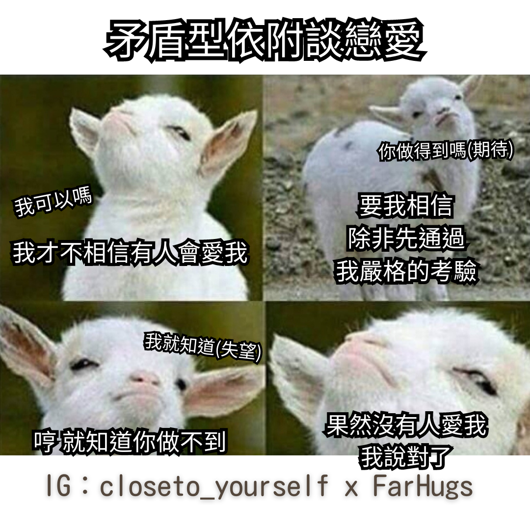 矛盾型依附談戀愛常見想法