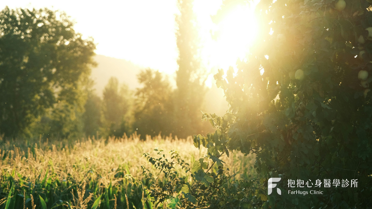 穿過情緒的風暴，找到自我和解的港灣