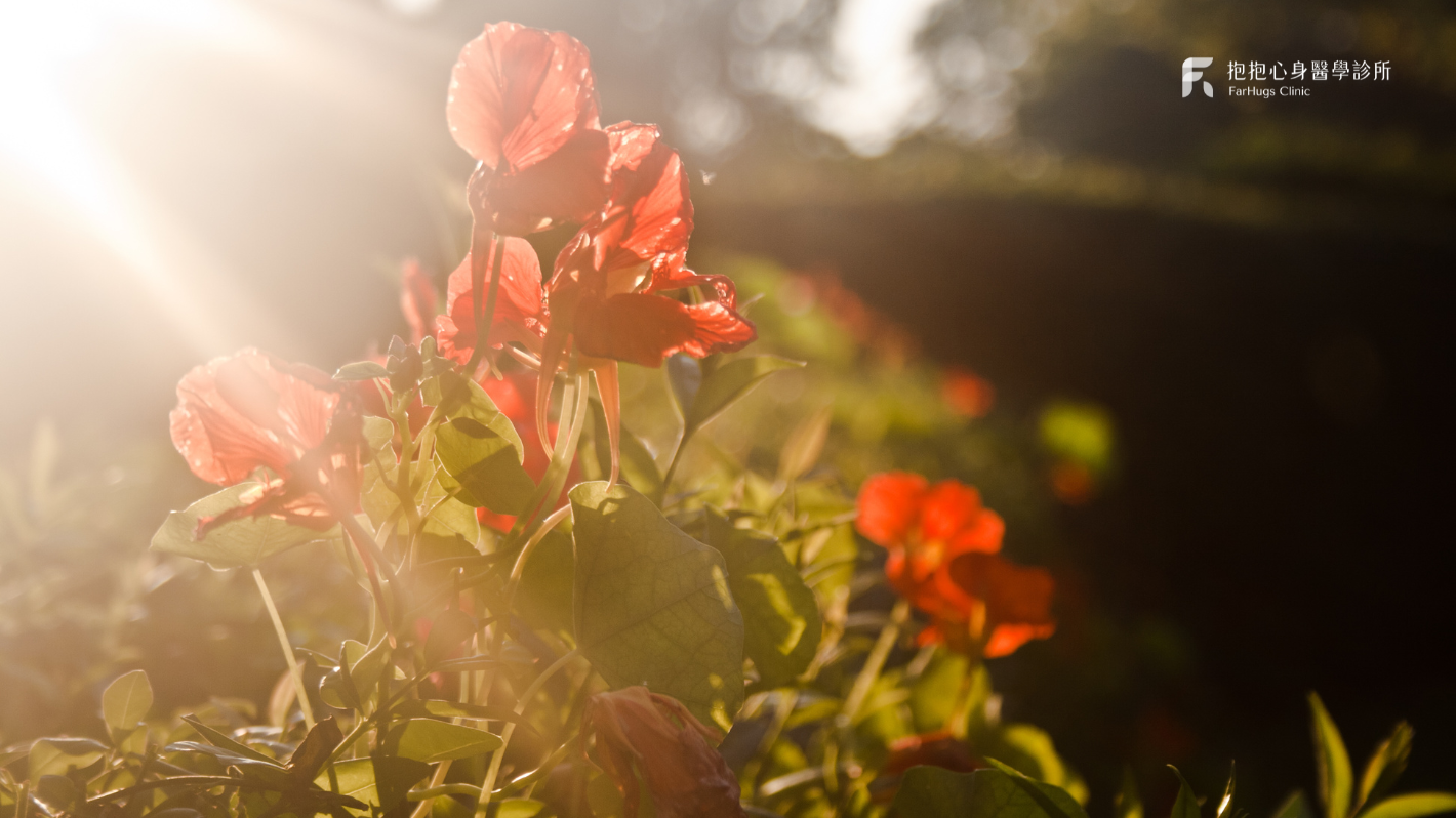 如何改善逃避型依附？心理師分享 3 步驟善待自己