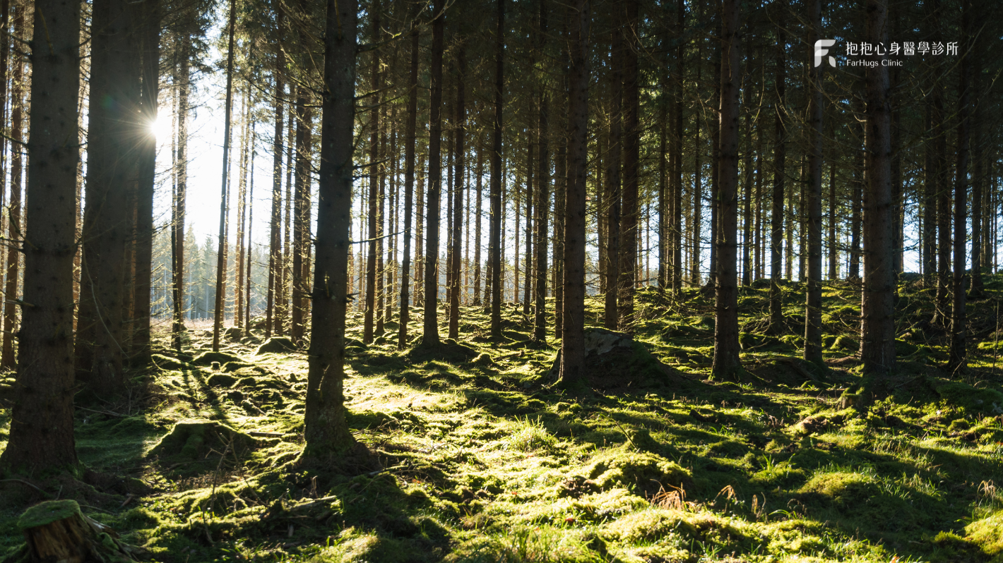 為什麼會有矛盾型依附?常見 2 大可能原因