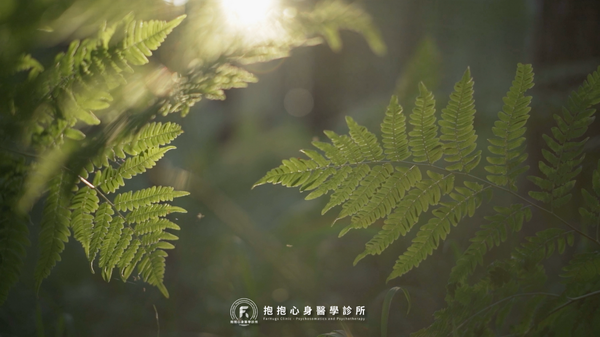 我們同時提供「身心治療」及「心理諮商」，陪你度過大大小小的難關