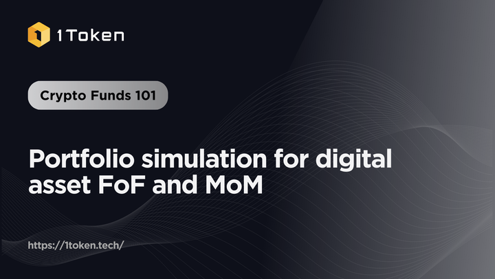 Portfolio simulation for digital asset FoF and MoM