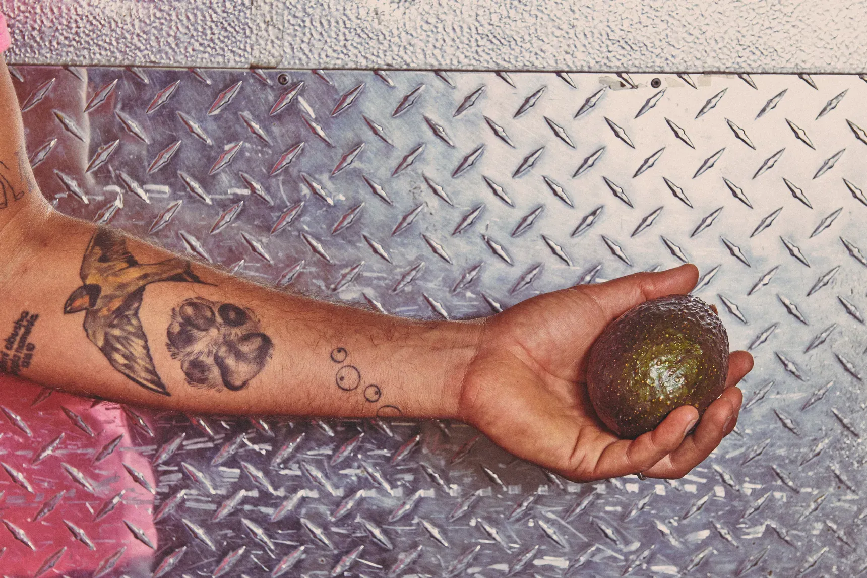 The Avocado Guy