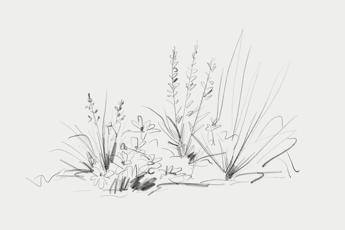 Design as a garden