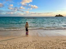   
  
  
  
  
  
  Hawaii
  
  
  
  
  
