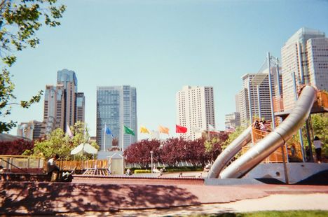 Yerba Buena