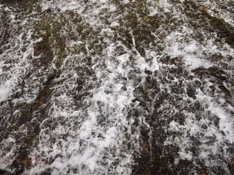 Rapids