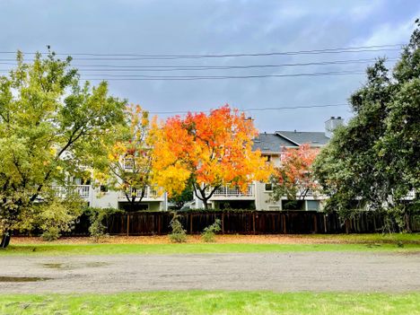 Autumn