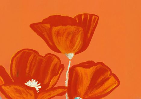 Poppies