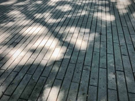 Shadow on pavers