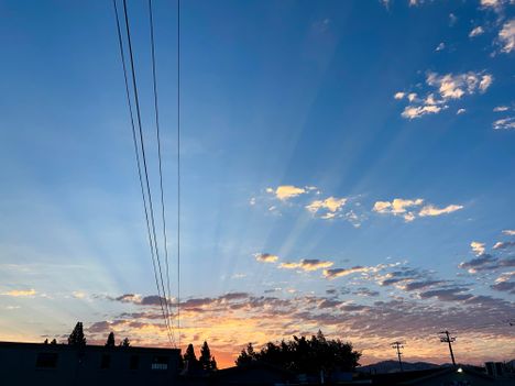 Morning rays
