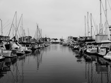 Harbor