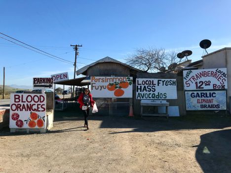 Fruit stand