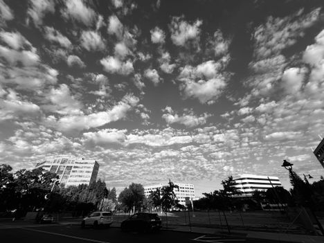 Mackerel sky