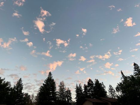 Dusk