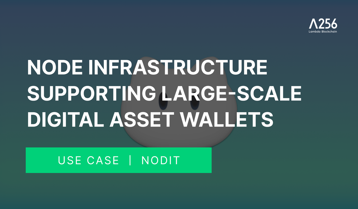 Node Infrastructure Supporting Large-Scale Digital Asset Wallets - Rewardy Wallet Case