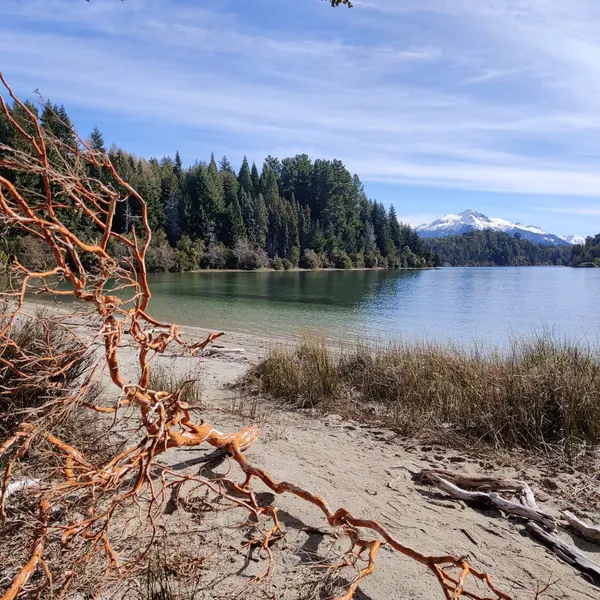 Alexander (AJ) Wold's cover image