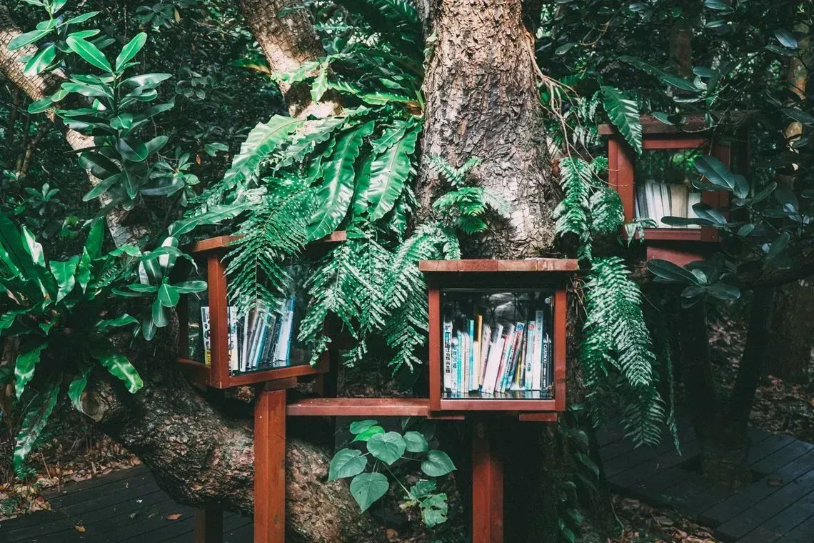 The best books I read in 2021