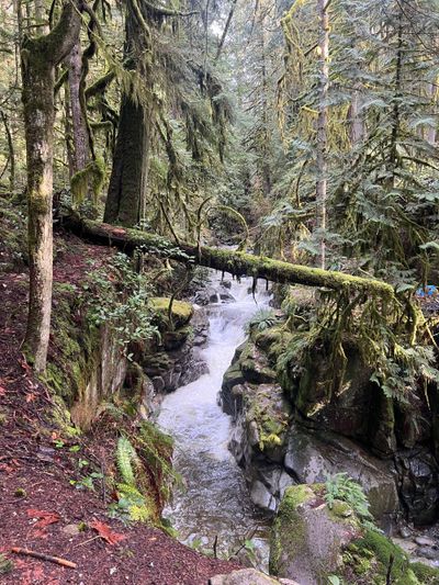 Hiking en Cypress Falls 03-30-2025