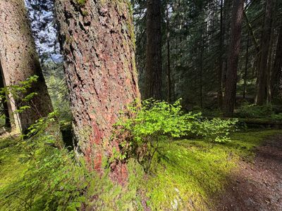 Hiking en Rice Lake 04-21-2025