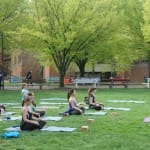 Yoga @ Mason