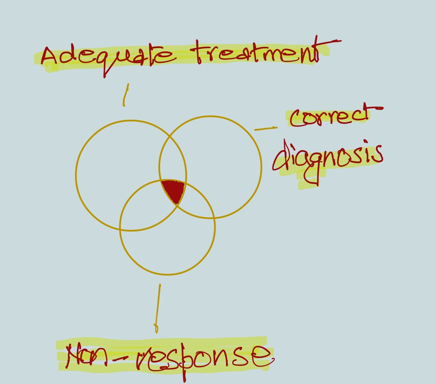 Three intersecting circles labelled 'adequate treatment', 'correct diagnosis', and 'non-response'. The area common to all three denotes treatment-resistance.