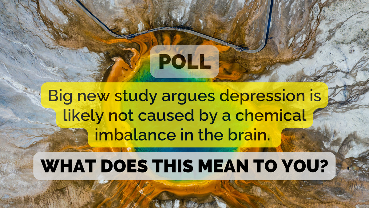 🗳️ You and the Great Serotonin Wars