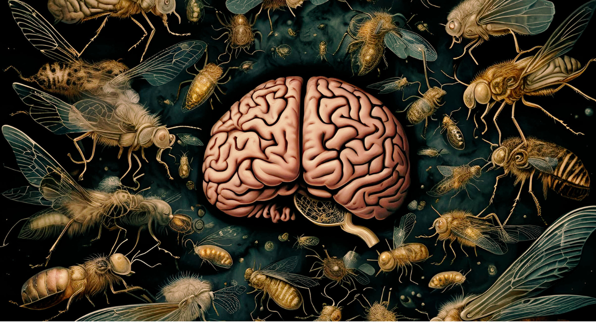 A human brain surrounded by flies and other insects to convey the feeling of rotting