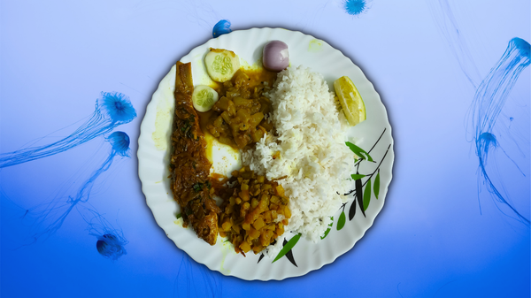 Let's talk: How to feel good about food again