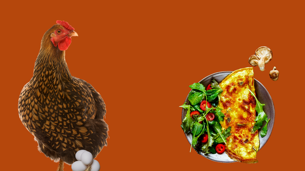 What omelette making can teach you about workplace mental health