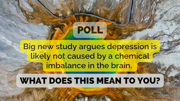 🗳️ You and the Great Serotonin Wars