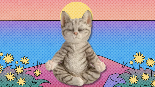 The radical power of being incurious