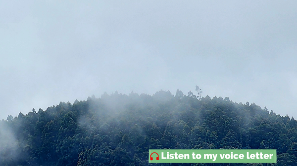 The hills where my ambition came to die