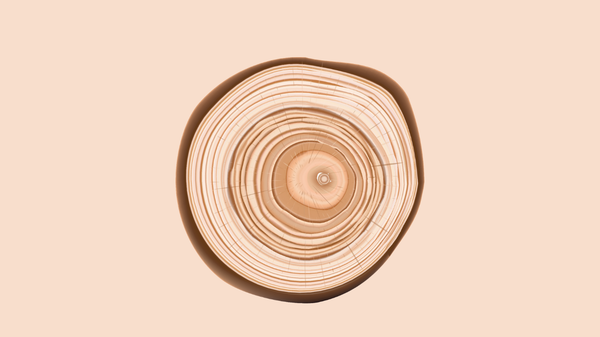 On therapeutic witnessing