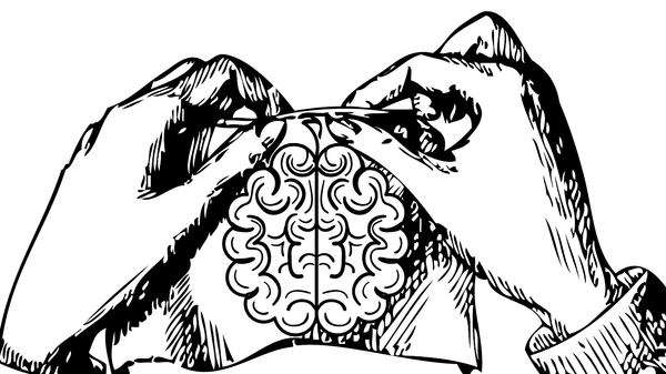 A black and white charcoal drawing of two hands knitting a design of the human brain