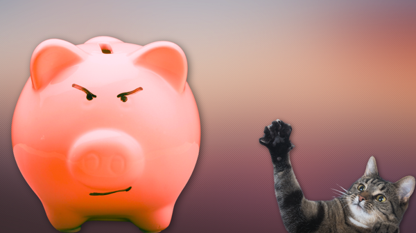 An anxious cat looks up at an angry-looking piggy bank.