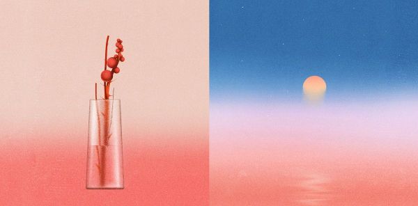 🌻 Special edition: "Hope is a discipline" and 5 other ideas to live by in hopeless times