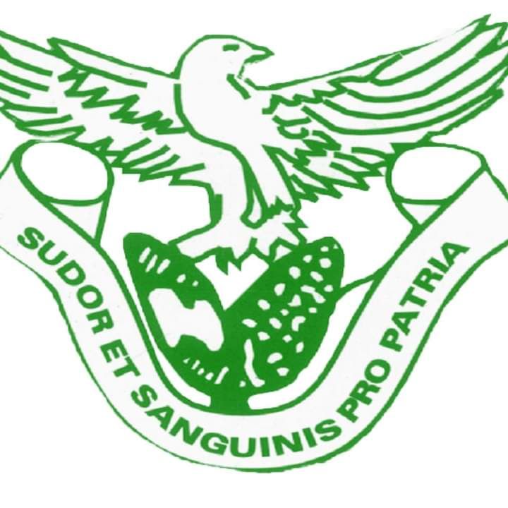 $15 BILLION DOLLARS ZNS SMELTER ON CARDS Zambia National