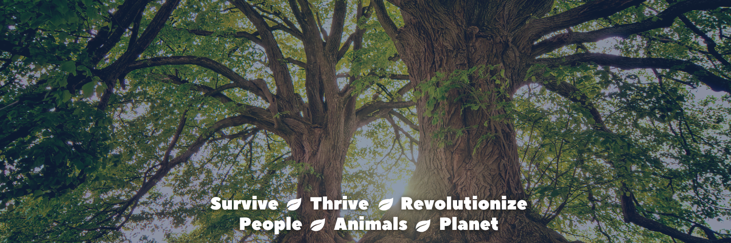 Collapse Resilience Collective