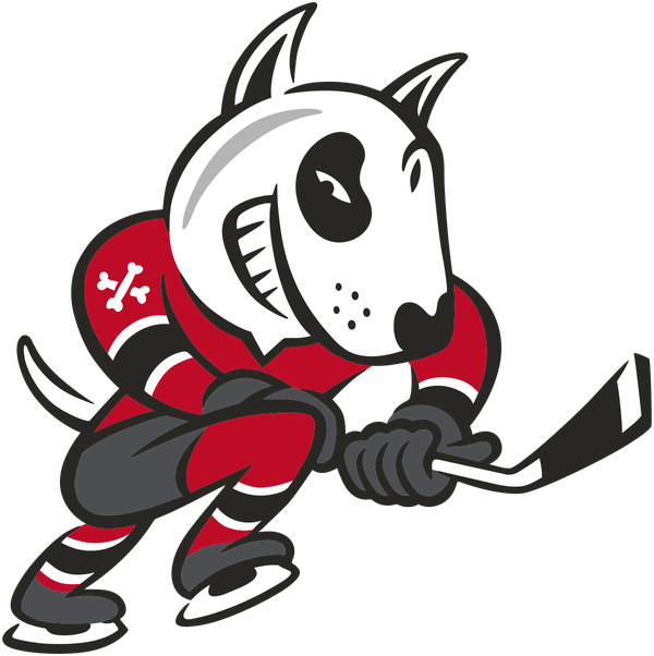 IceDogs