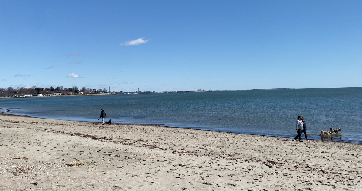 How’s the Water at Southwest Connecticut Beaches?