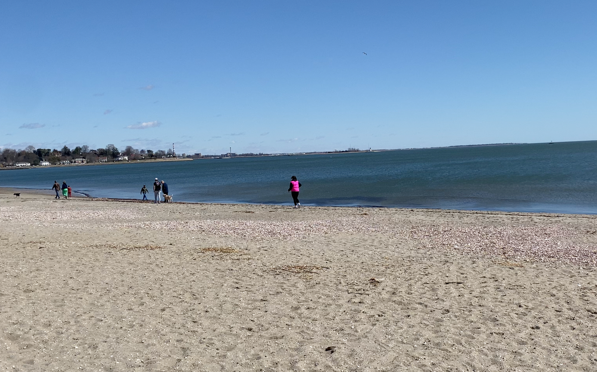 What the 2024 Save the Sound Report Card Means for Lower Fairfield County