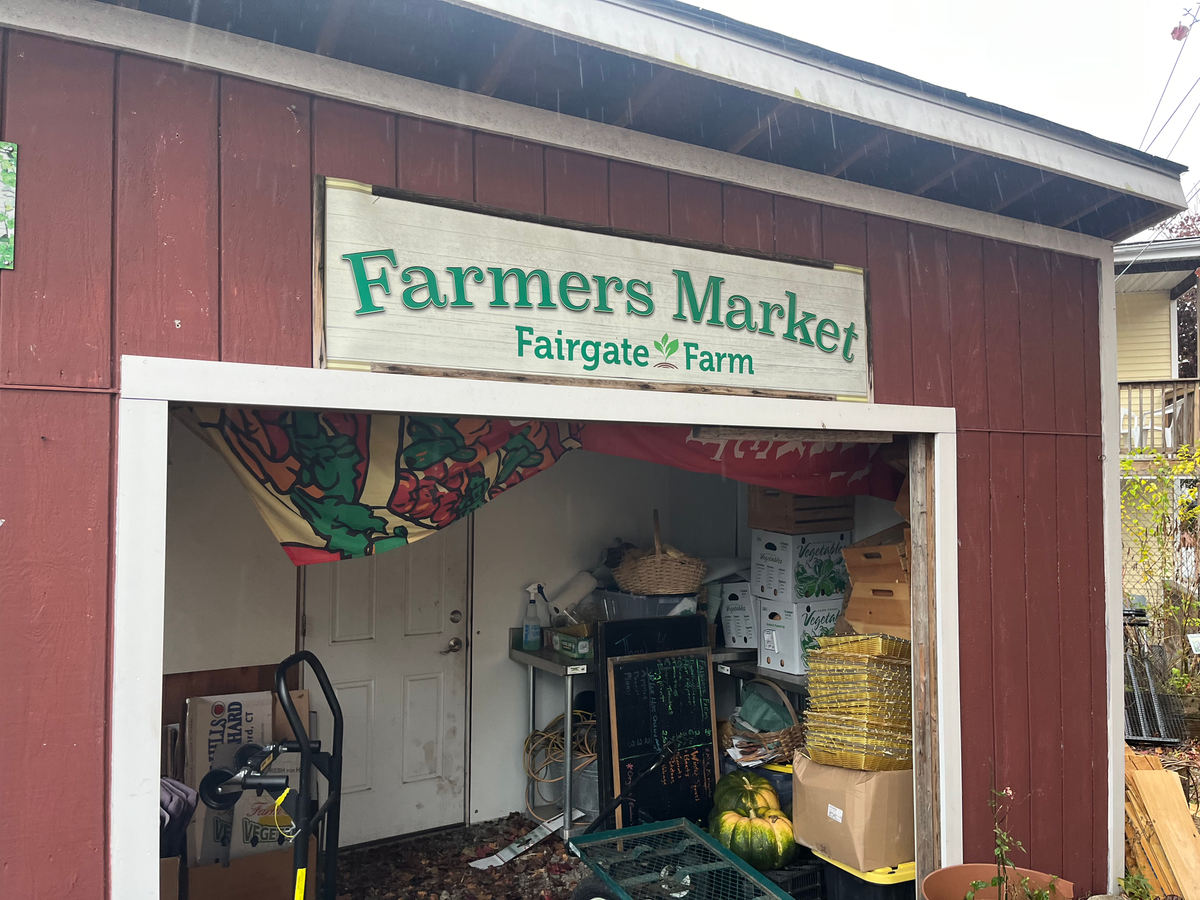 Food Insecurity, Access, and Innovation Across Lower Fairfield County