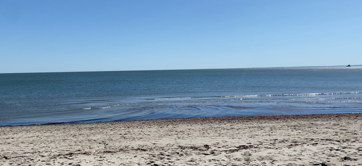 Save the Sound Report Highlights Impact of Trash in the Long Island Sound