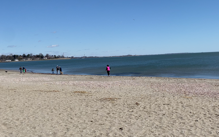 What the 2024 Save the Sound Report Card Means for Lower Fairfield County